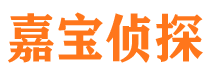 光山市侦探公司